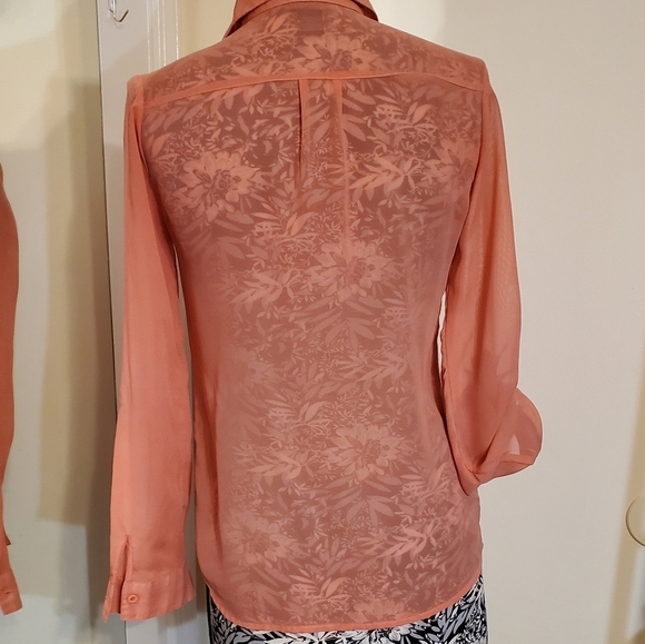 Button front chiffon long sleeves buttondown shirt sheer - Picture 6 of 6